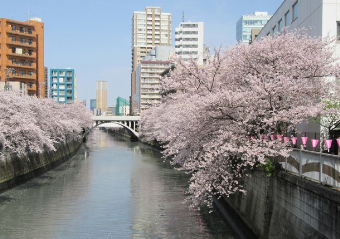 志成館高等学院 東京校 普通科